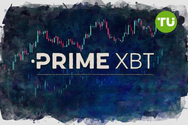 Unleashing the Power of PrimeXBT MX Hub The Future of Financial Trading