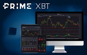 Unleashing the Power of PrimeXBT MX Hub The Future of Financial Trading