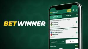 BetWinner App for iOS A Comprehensive Guide